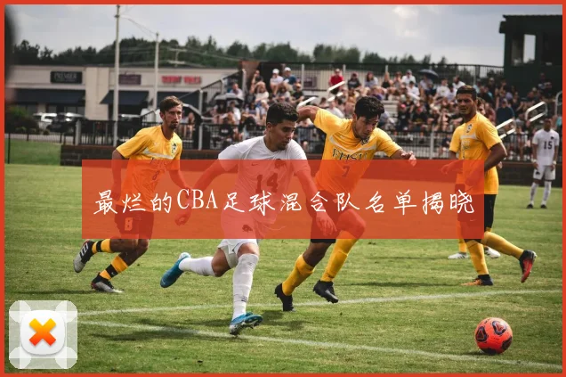 最烂的CBA足球混合队名单揭晓