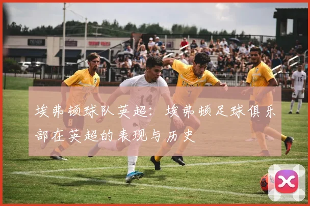 埃弗顿球队英超：埃弗顿足球俱乐部在英超的表现与历史