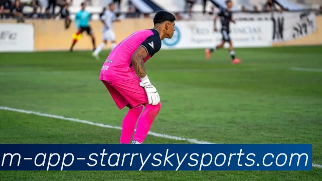 星空体育平台生态图